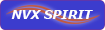 Awarded to pilots who consistently embodying the true spirit of NVirtual.